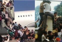 各地民众爆料视频大全最新,真实记录社会百态