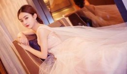 赵丽颖娱乐圈八卦最新爆料,娱乐圈风云再起，揭秘背后惊人真相！