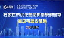 石家庄公司最新爆料新闻,揭秘重大行业动态与内部变革