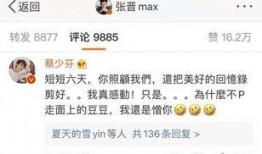 神仙爱情爆料视频大全下载,视频大全下载背后的浪漫故事