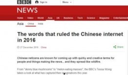 实时评论吃瓜网站大全免费,免费畅享实时评论盛宴！