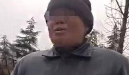 最新乞丐爆料,揭开城市角落的生存真相