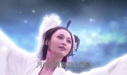 嫦娥在线观看,揭秘我国航天事业的辉煌历程