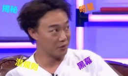 爆料娱乐圈17个艺人,揭秘明星背后的故事与真相