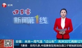 一线新闻爆料电话,紧急爆料！一线新闻热线揭露惊人内幕