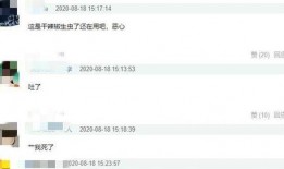 陈赫婚后爆料视频,揭秘娱乐圈夫妻相处之道