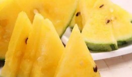 黑瓜吃料免费,揭秘免费美食背后的秘密