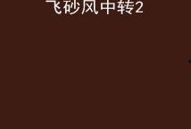 飞砂风中转在线观看,穿越时空的浪漫传奇