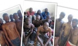 私人奴隶在线观看,私人奴隶在线观看现象深度剖析