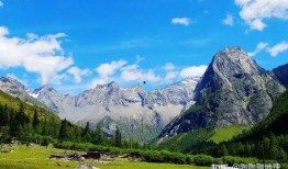 唐山四姑娘最新爆料,揭秘背后惊人真相