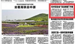 杭州电视新闻爆料,揭秘某热门事件背后真相