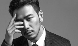 杨烁婚姻爆料了吗视频下载,揭秘明星婚姻背后的真相