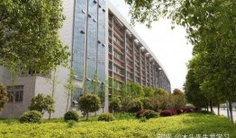 武昌工学院爆料新闻最新消息,校园事件引发关注，真相即将揭晓