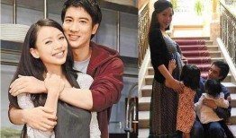 李靓蕾爆料视频播放全集,揭秘事件背后真相与情感纠葛