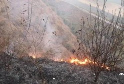 狮子山爆料视频最新版,惊人内幕曝光！