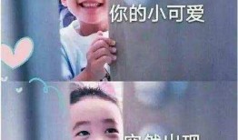 爆料搞笑小视频犯法吗吗,搞笑内容边界与法律风险