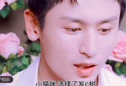 牛仔故事视频爆料大全集,视频爆料大全集深度解析