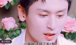 牛仔故事视频爆料大全集,视频爆料大全集深度解析