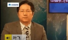 叶飞爆料任毅视频播放全集,揭秘事件背后真相