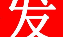 白酒配方爆料视频,独家爆料视频深度解析