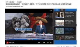 32号视频在线观看