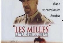 自由列车在线观看,穿越时空的奇幻之旅