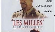 自由列车在线观看,穿越时空的奇幻之旅