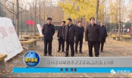 鹿邑最新爆料新闻,揭秘当地热点事件背后的真相