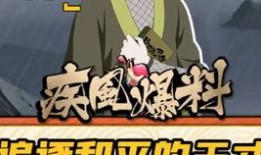 火影爆料打假视频是真的吗