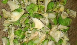 爆料炸菜腌制方法视频