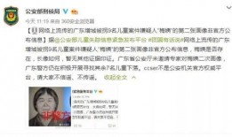 浙江富商爆料事件始末视频,揭秘幕后真相与争议漩涡