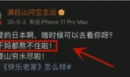 内鬼爆料的最新视频大全,最新视频大全深度解析