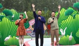 临沂温泉爆料视频曝光最新,揭秘神秘温泉背后的故事