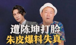 香港娱记朱皮最新爆料,香港娱乐圈最新猛料揭秘！”