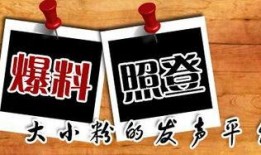 哈尔滨新闻爆料平台,聚焦城市热点，揭示社会真相
