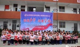 爆料扬子洲中学事件视频,真相与争议交织