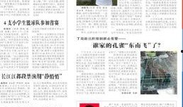 年度盛典爆料新闻稿件范文,精彩瞬间与幕后故事大揭秘