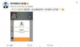 谁爆料了王小歪视频大全,揭秘背后真相