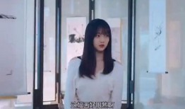 小姐在线观看免费收看,揭秘高清影视盛宴