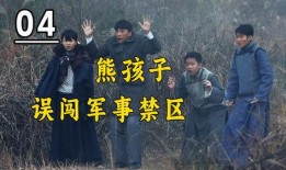 军事禁区在线观看,在线观看背后的神秘世界