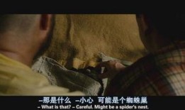 宿醉2高清在线观看,狂欢后遗症，兄弟情谊再续前缘