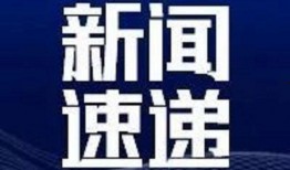 新闻爆料最新,官方调查结果即将揭晓”