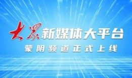 山东蒙阴媒体爆料新闻,重大事件引发社会关注