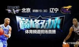 辽卫视直播在线观看,实时掌握精彩瞬间，畅享在线观看新体验