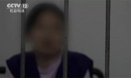 浙江富商爆料事件始末视频,揭秘幕后真相与争议漩涡