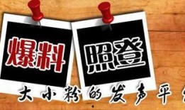 陕西当地新闻爆料网,聚焦本土热点事件，揭秘社会现象背后的真相
