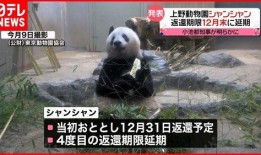 美国人爆料熊猫视频大全,萌态百出，萌翻全球
