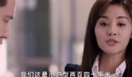 小姐在线观看免费收看,揭秘高清影视盛宴