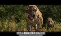 狼族在线观看,揭秘神秘狼族世界的惊险旅程