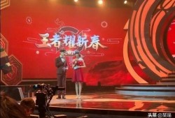 王者瓶子爆料视频,揭秘游戏幕后精彩瞬间